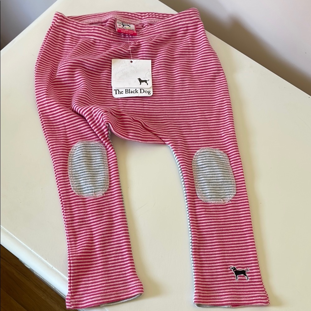 The Black Dog Fuschia and Gray Striped Leggings